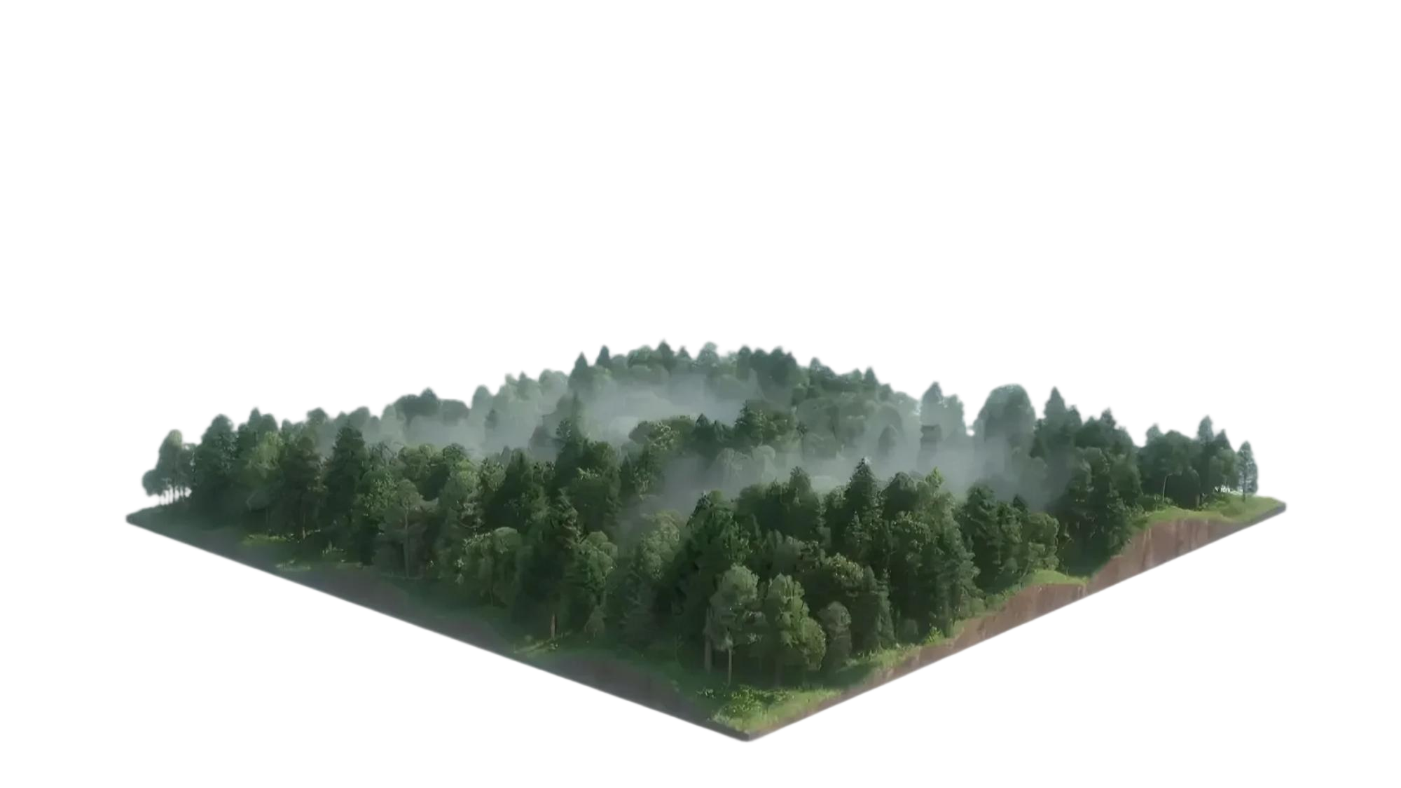 3D Map